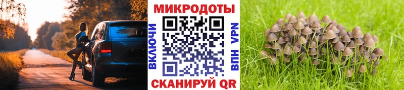 Галлюциногенные грибы мицелий  где можно купить наркотик  Ялуторовск 